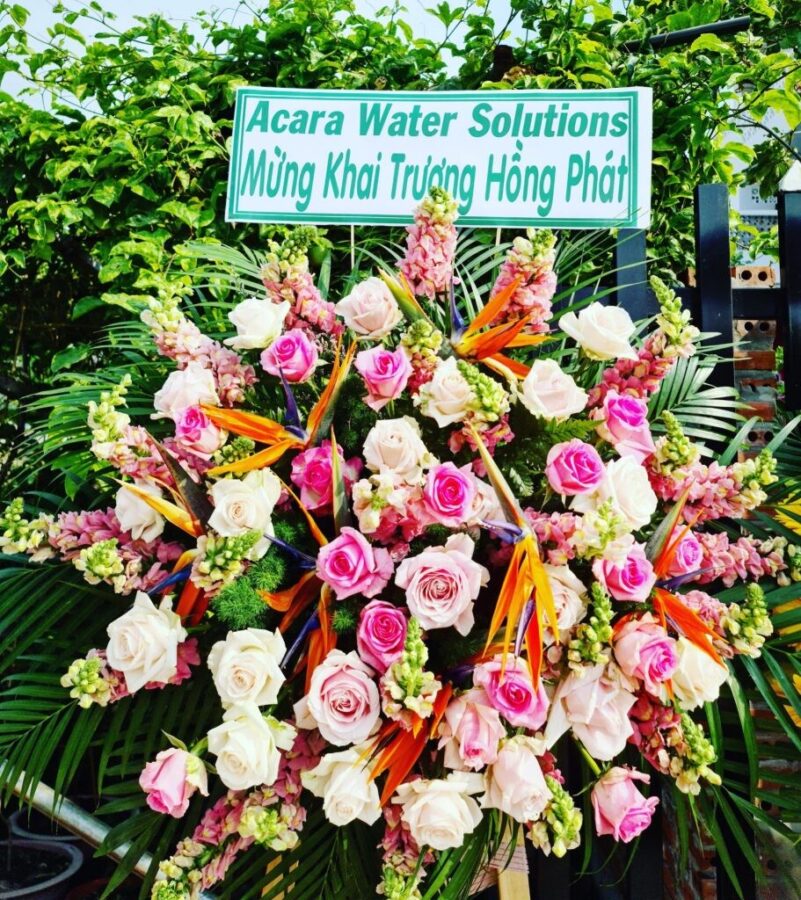 22ec87e40891f3cfaa80 911x1024