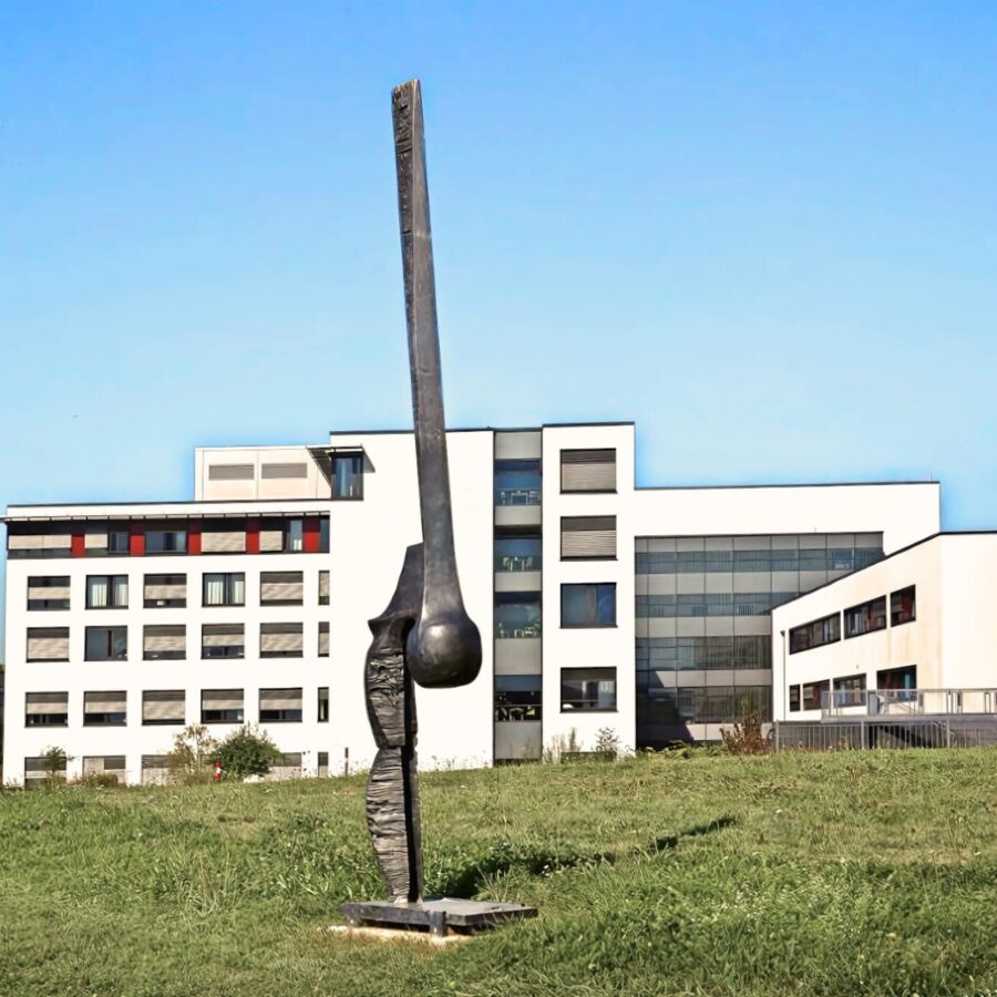 480179868 1133551518223742 2394107869318155654 N