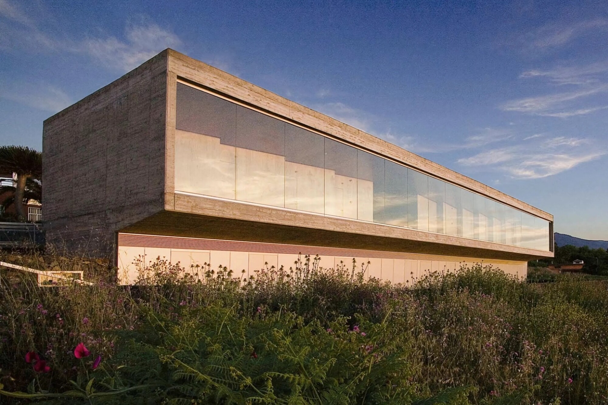 480190123 1133557448223149 1461455960059078935 N