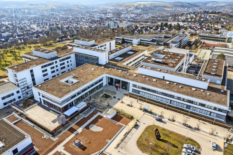 480569887 1133551751557052 3767544804579348736 N