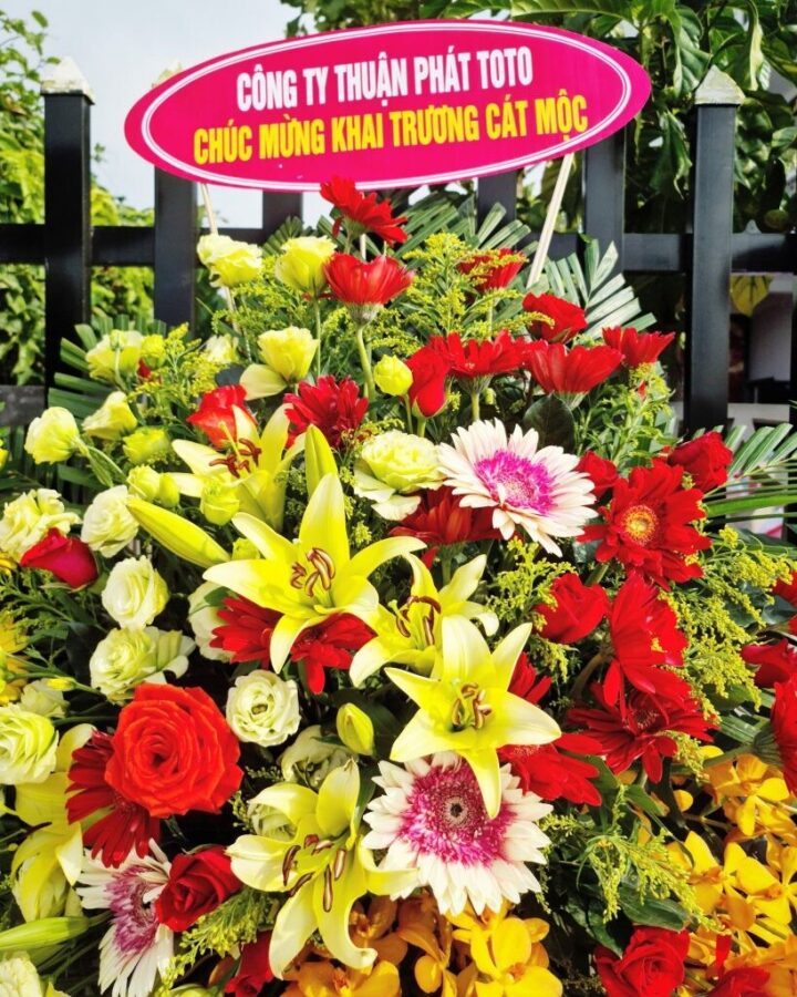 6b3b885a072ffc71a53e 819x1024