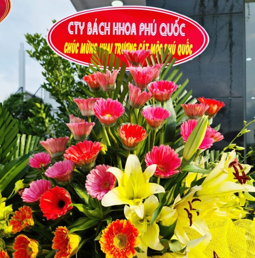 7c8c3af7b7824cdc1593 1011x1024